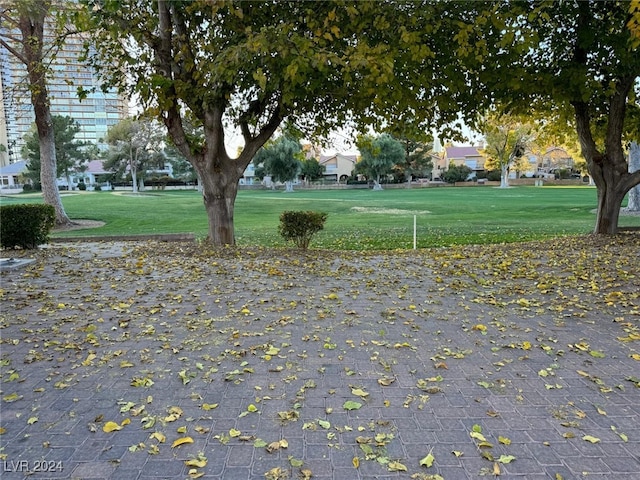 view of community featuring a yard