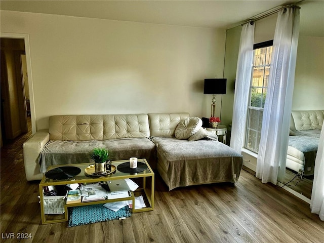 living room with wood-type flooring