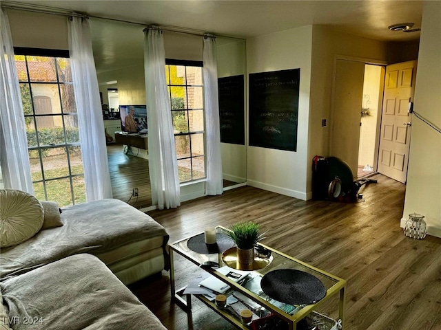 living room featuring a wealth of natural light and hardwood / wood-style floors