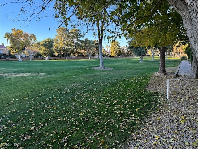 view of home's community with a yard