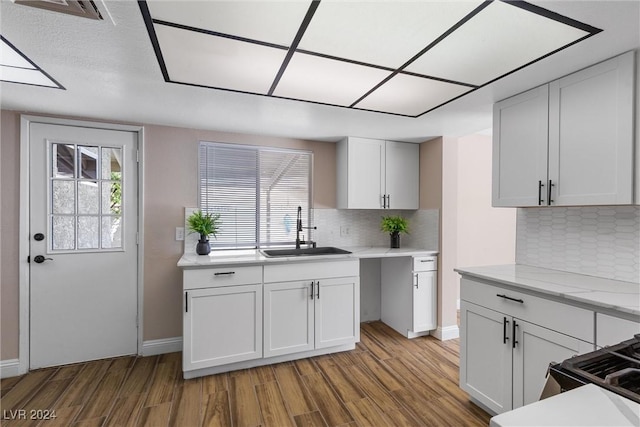 kitchen with white cabinets, wood-type flooring, and sink