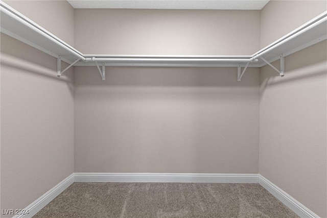 walk in closet with carpet