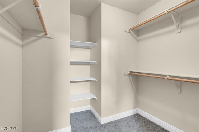 spacious closet with carpet