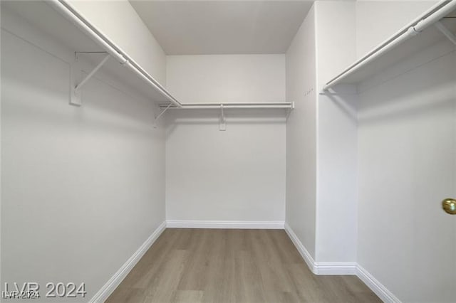 walk in closet with light hardwood / wood-style flooring