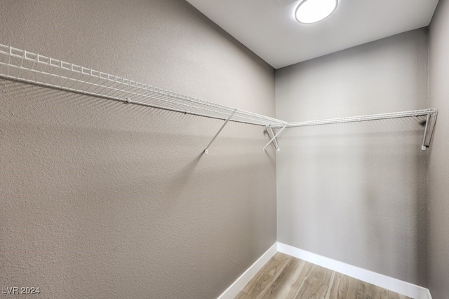 spacious closet featuring light hardwood / wood-style floors