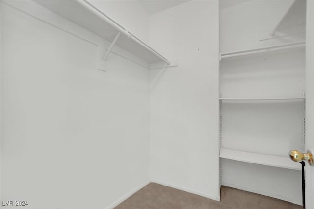 spacious closet with carpet