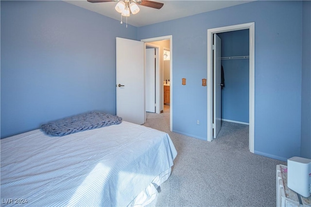 carpeted bedroom with a walk in closet, ceiling fan, and a closet