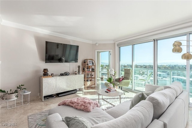 living room featuring crown molding