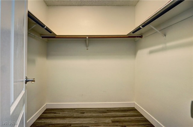 spacious closet with dark wood-type flooring