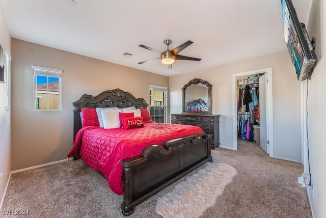 bedroom featuring a walk in closet, carpet, ceiling fan, and a closet