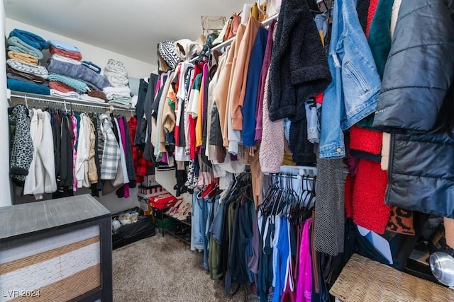 spacious closet with carpet flooring