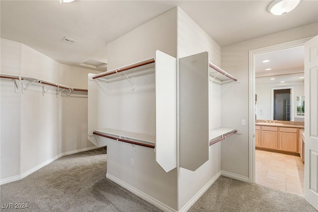 spacious closet featuring light carpet and sink