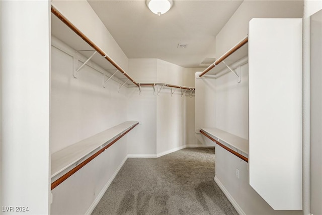 spacious closet featuring carpet floors