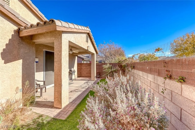 view of yard featuring a patio