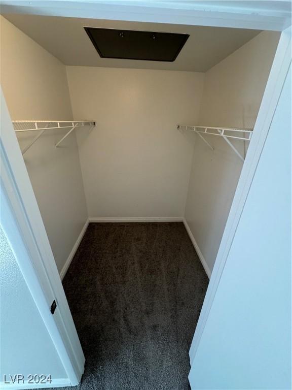 walk in closet with carpet