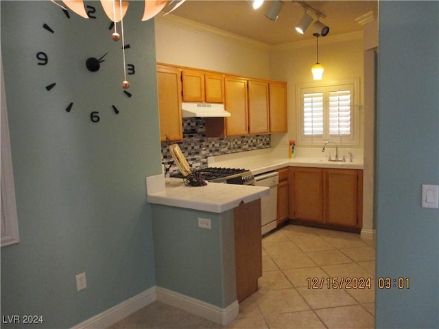 kitchen with decorative backsplash, ornamental molding, sink, decorative light fixtures, and dishwasher