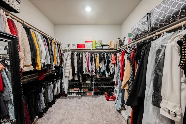 spacious closet featuring carpet