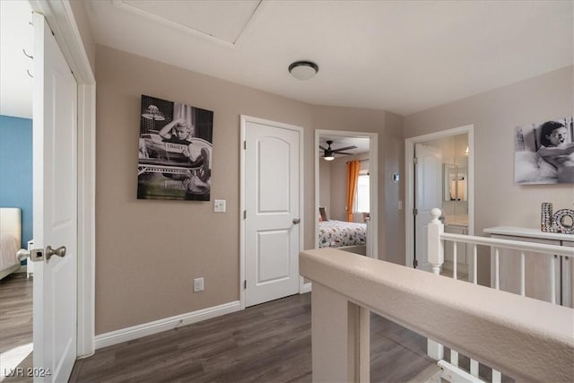 hallway featuring dark wood-type flooring