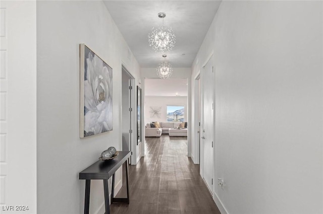 hallway featuring dark hardwood / wood-style floors and a notable chandelier