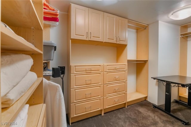 spacious closet featuring dark colored carpet