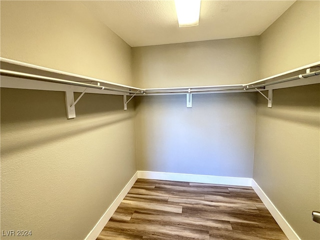 spacious closet featuring wood-type flooring