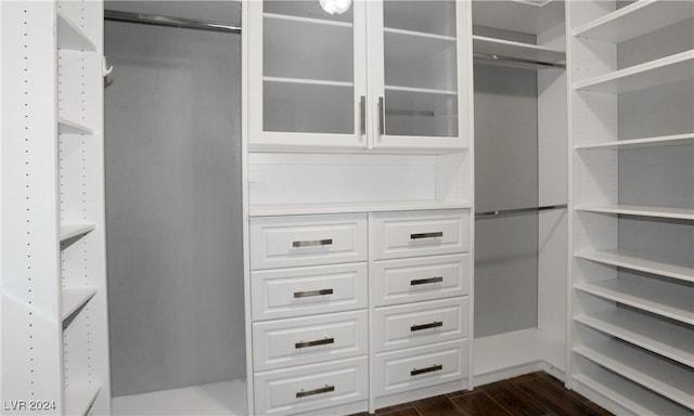 spacious closet with dark wood-type flooring