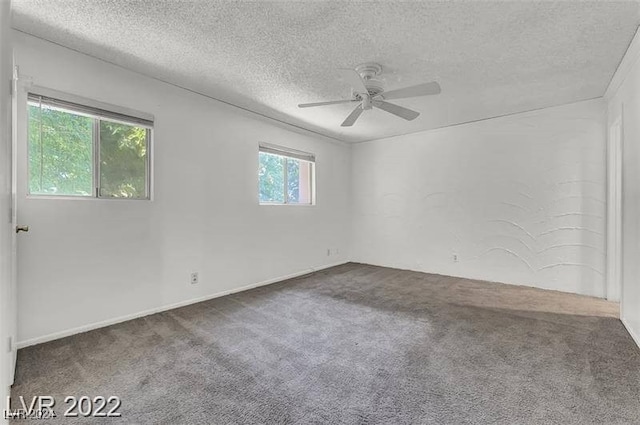 carpeted spare room featuring plenty of natural light and a textured ceiling