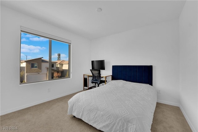 bedroom featuring carpet floors