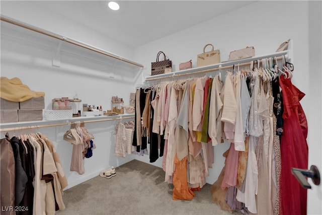 spacious closet featuring carpet