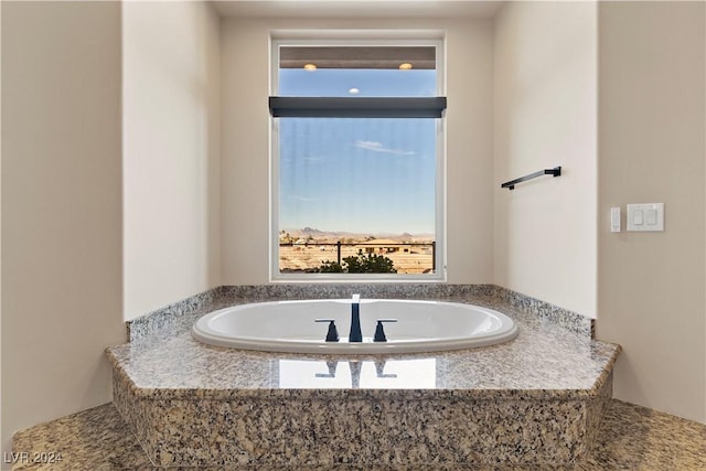 bathroom featuring a bathing tub and a healthy amount of sunlight