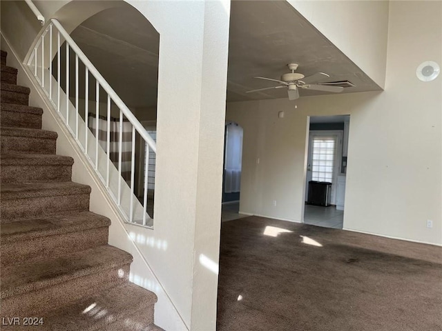 stairway featuring carpet flooring and ceiling fan