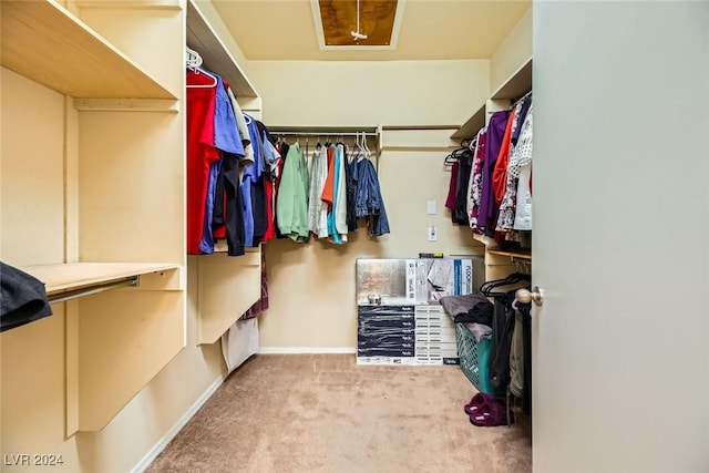 spacious closet with carpet