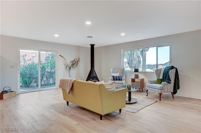 living room with a wood stove, light hardwood / wood-style flooring, and a healthy amount of sunlight