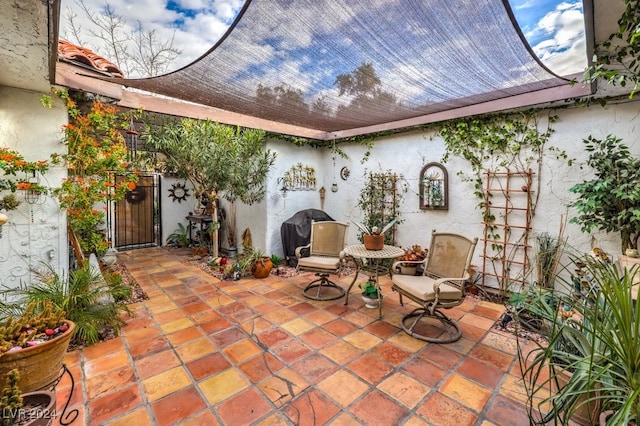 view of patio / terrace featuring grilling area