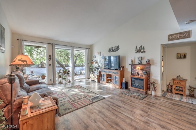 living room with a fireplace, hardwood / wood-style floors, and high vaulted ceiling