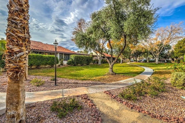 view of home's community with a yard