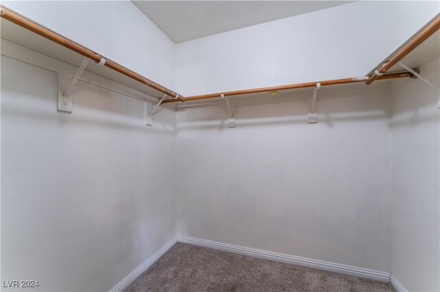 walk in closet with carpet flooring