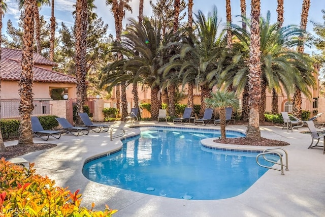 view of pool featuring a patio area