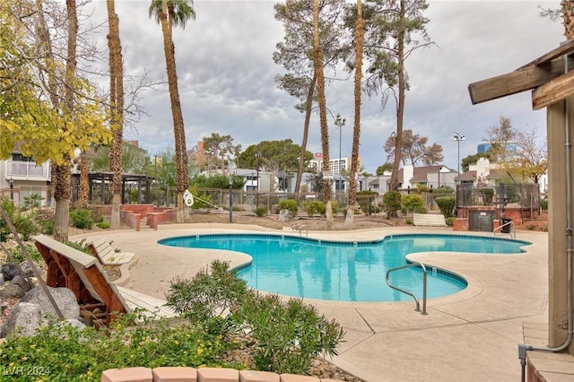 view of swimming pool with a patio