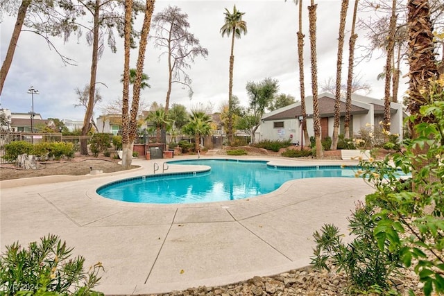 view of pool featuring a patio