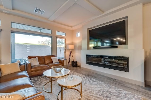 living room featuring wood-type flooring