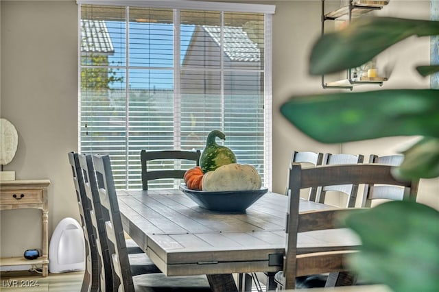 dining room featuring a wealth of natural light