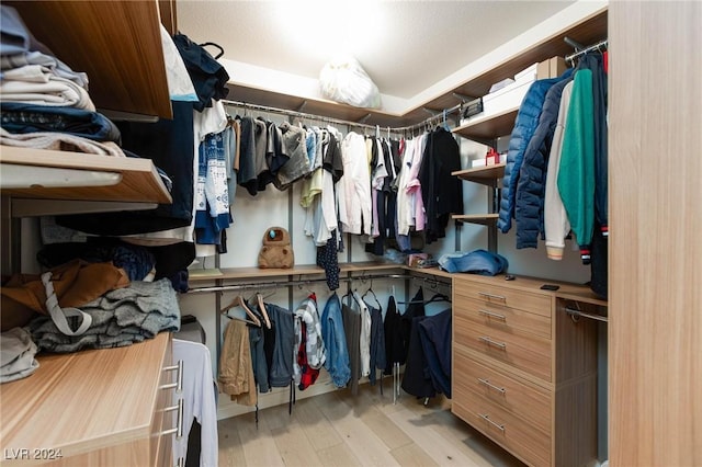 spacious closet with light wood-type flooring