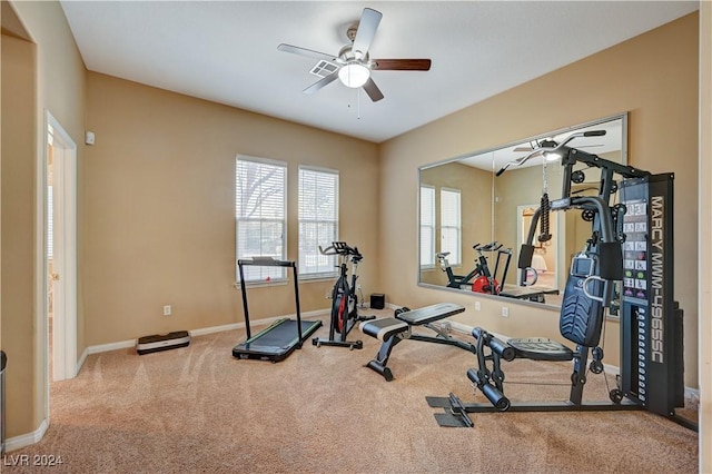 workout room with ceiling fan and carpet flooring