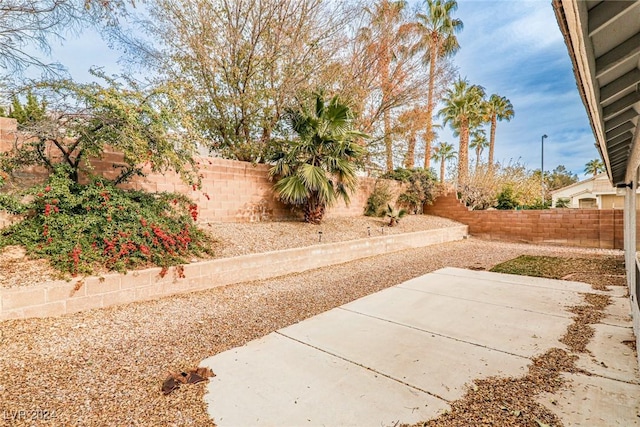 view of yard featuring a patio area