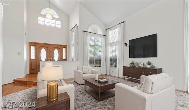 living room featuring hardwood / wood-style floors and high vaulted ceiling