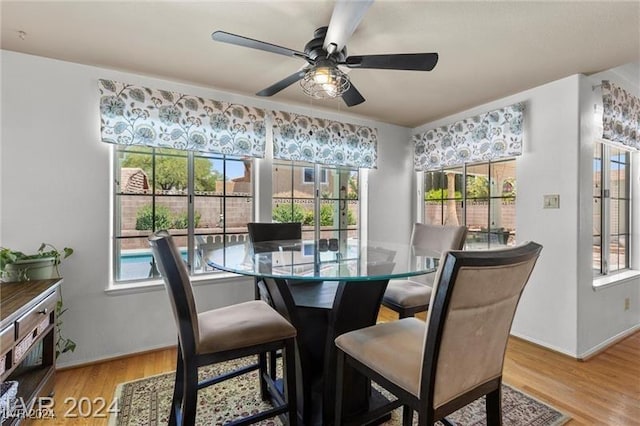 dining area featuring ceiling fan and light hardwood / wood-style floors