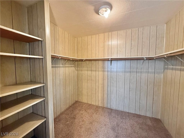 walk in closet with carpet