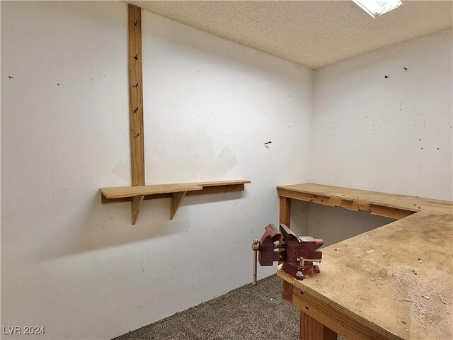 misc room featuring carpet flooring and a textured ceiling