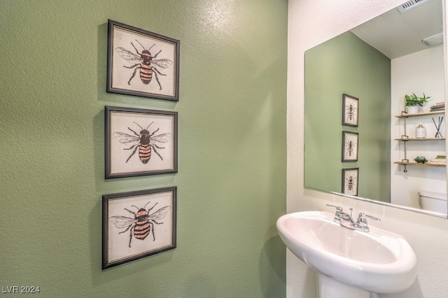 bathroom with sink and toilet